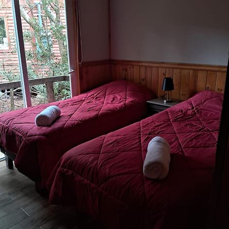 Chucao Bosque Y Cabanas Chaitén Εξωτερικό φωτογραφία