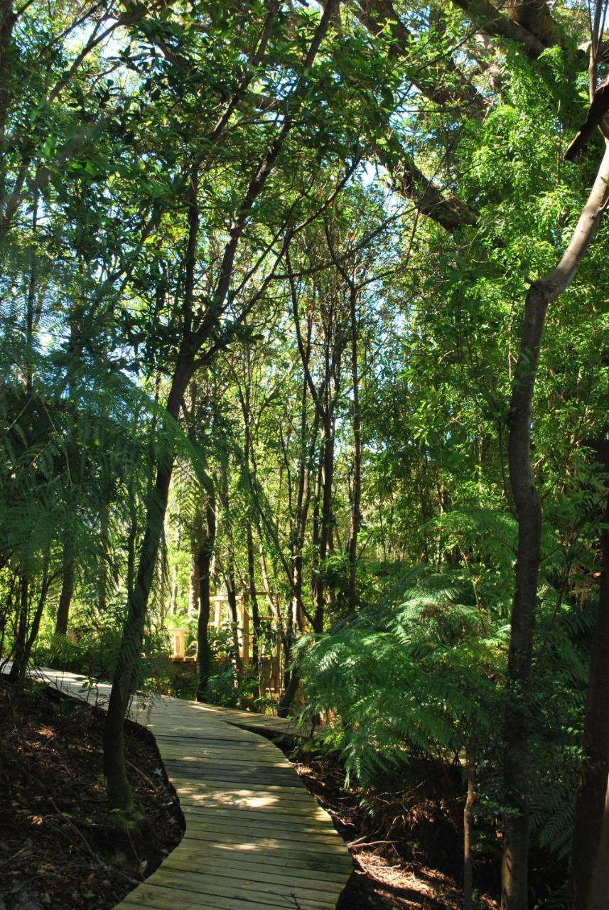 Chucao Bosque Y Cabanas Chaitén Εξωτερικό φωτογραφία