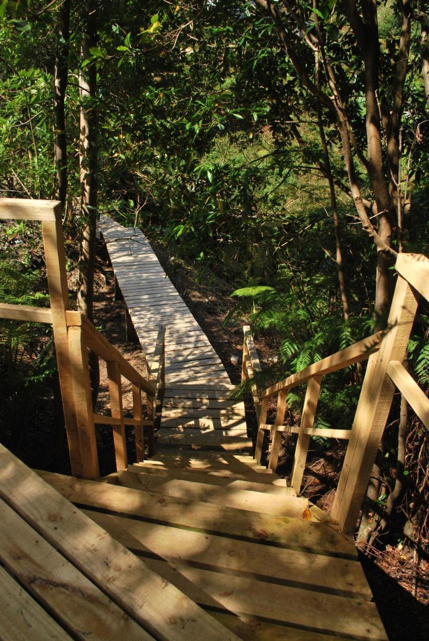 Chucao Bosque Y Cabanas Chaitén Εξωτερικό φωτογραφία